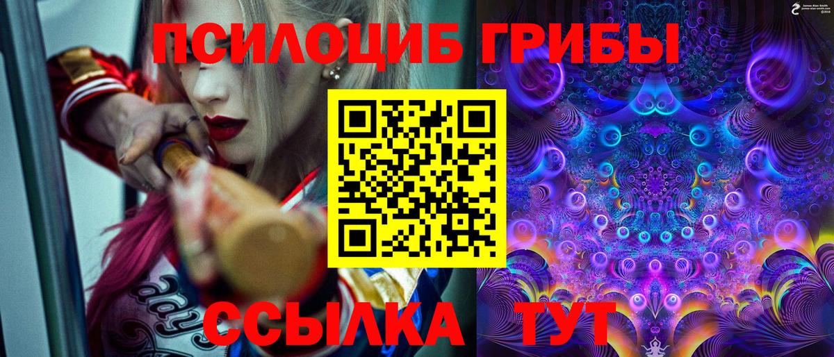 Галлюциногенные грибы MAGIC MUSHROOMS  Галлюциногенные грибы MAGIC MUSHROOMS  Вход с VPN  Шебекино 
